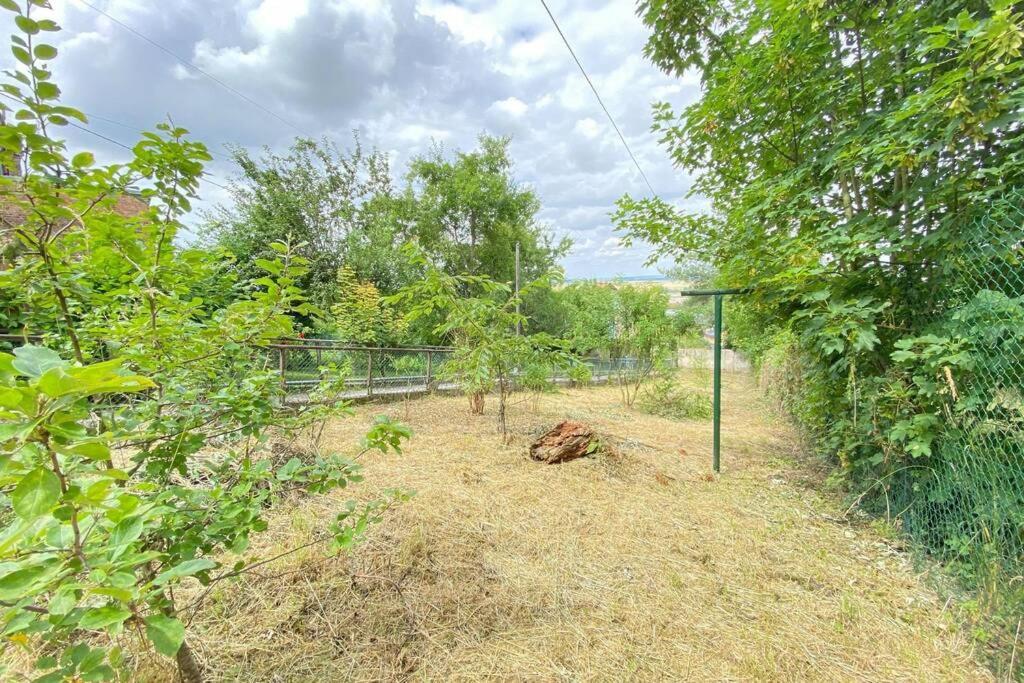 Appartement Rez-De-Chaussee Laon Bagian luar foto